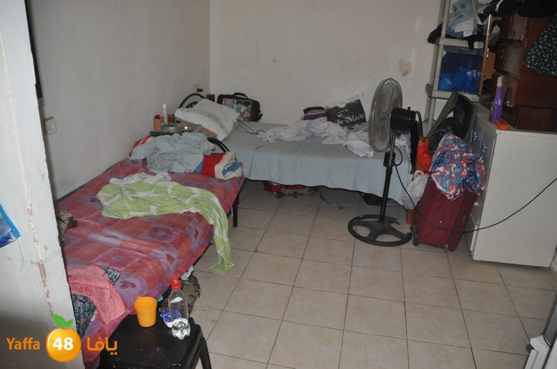 lud family boor (12).JPG